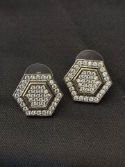 Frosted Luxe Küpe