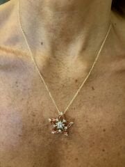 Rose Star Kolye
