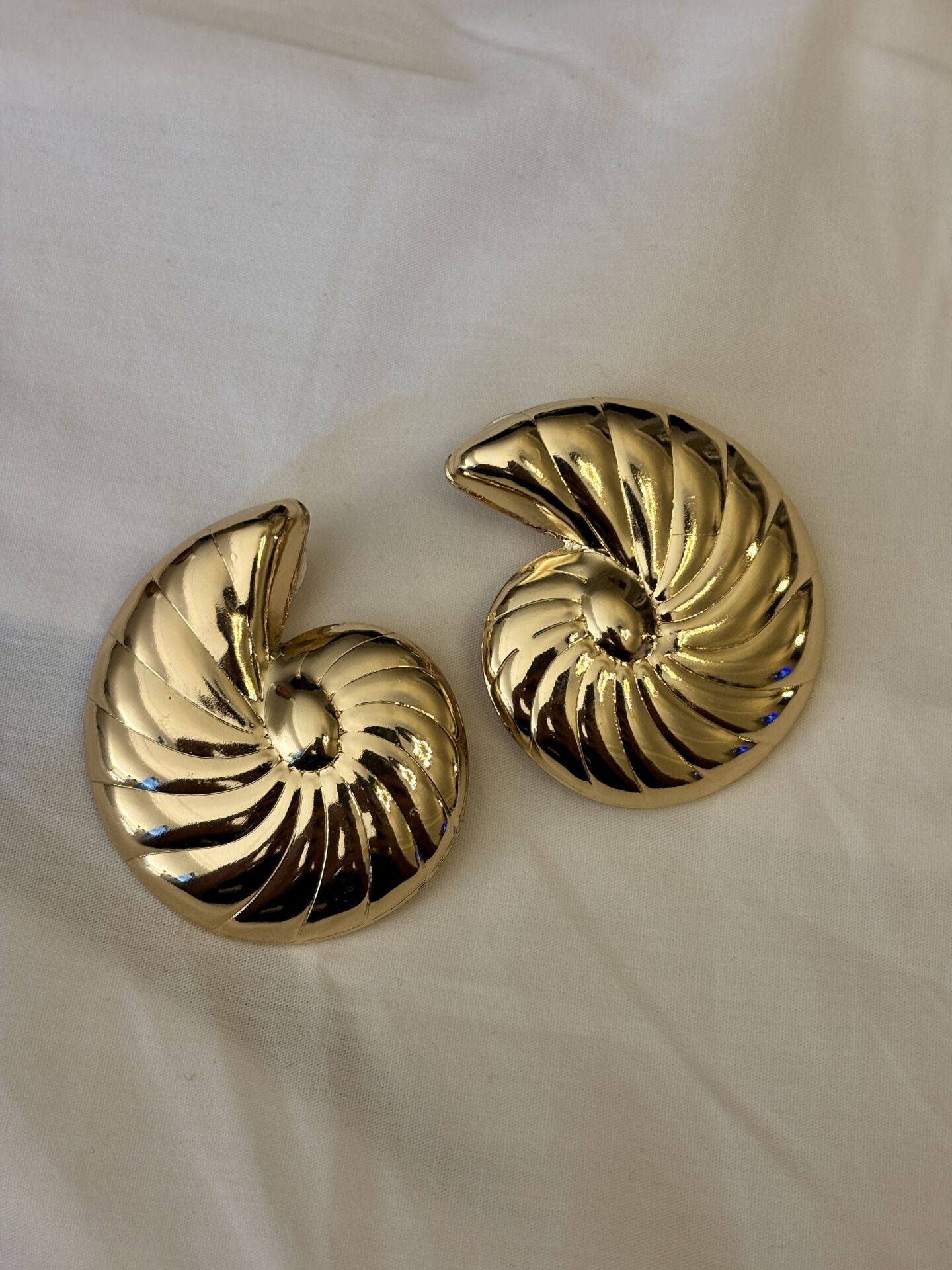 Nautilus Küpe